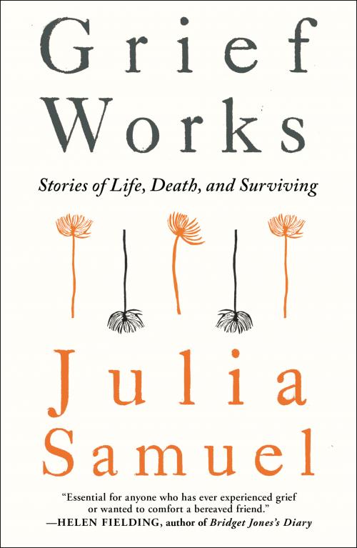 The book 'Grief Works, Stories of Life, Death and Surviving' by Julia Samuel.